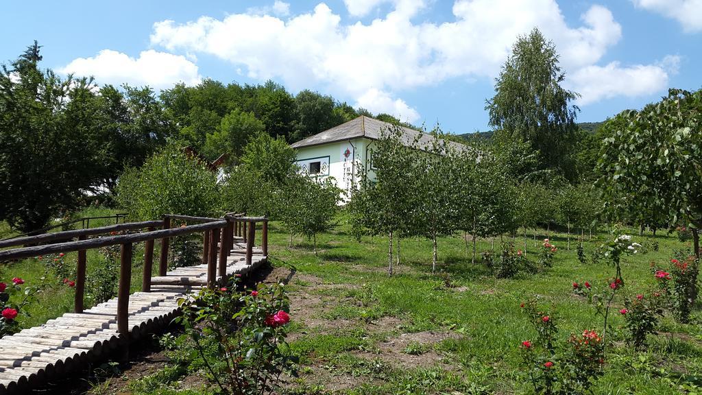 Activ Parc Hotel Negresti Екстериор снимка